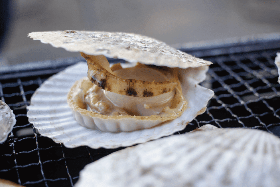 ほたての貝焼き