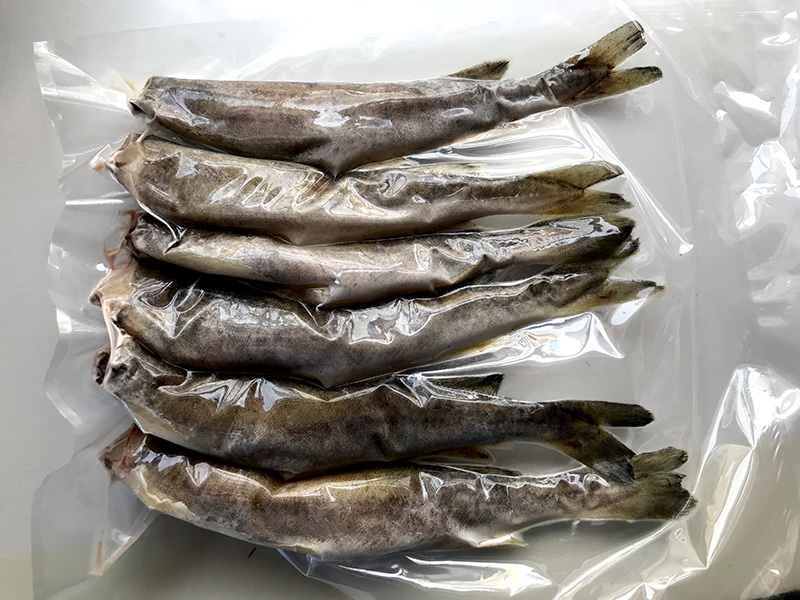 氷下魚（こまい）